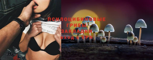дурь Арсеньев