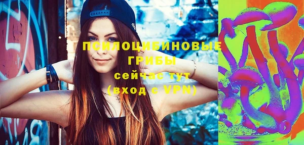 дурь Арсеньев