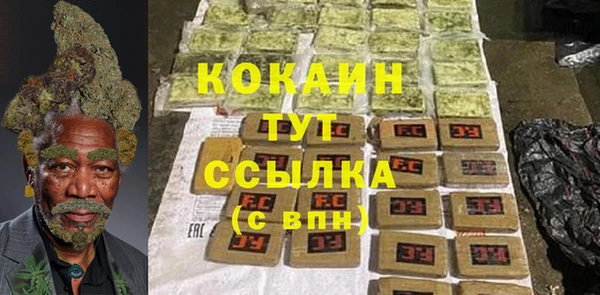 дмт Аркадак